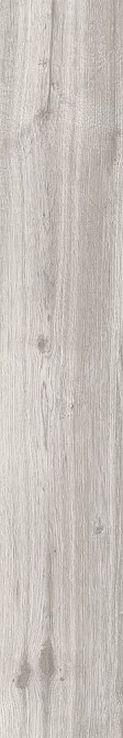 20x120 Aspenwood Норковый Матовый R10A