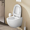 Сиденье для унитаза VitrA Sento (Сенто) 86-003-009, круглое белое дюропласт, с микролифтом фото 19