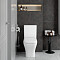 Унитаз-компакт напольный VitrA Polar (Полар) 9843B003-7201, с сиденьем микролифт, белый, санитарный фарфор, антибактериальное покрытие Hygiene (Хайджн) фото 13
