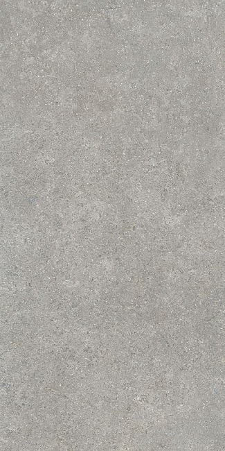 60х120 SandStone Серый Матовый R10A Ректификат