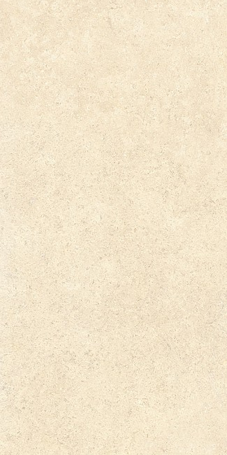 60х120 SandStone Песочный Матовый R10A Ректификат