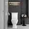 Унитаз-компакт напольный VitrA Serenada (Серенада) 9722B003-7205, с сиденьем микролифт, белый, санитарный фарфор фото 13